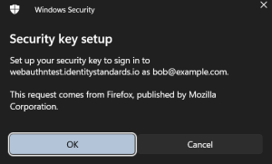 GN5-1 WP5 > Passkey creation test - Branko, Win 11 Lenovo IdeaPad 720S, Firefox > image-2023-7-2_13-7-39.png